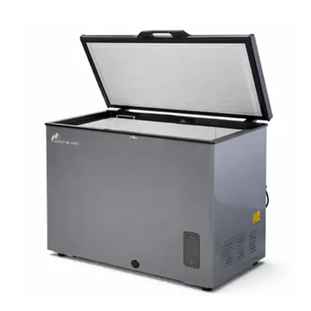 Congélateur Horizontal MONTBLANC ACC320 Silver