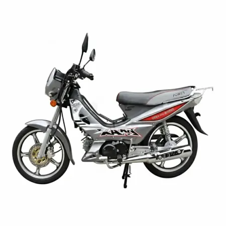 Cyclo Moteur Gold | 4 T / 107 CC Gris