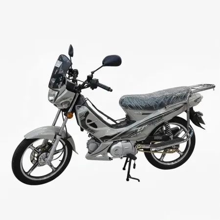 Motocycle D-MAX SLC 124cc Gris Frein à Main