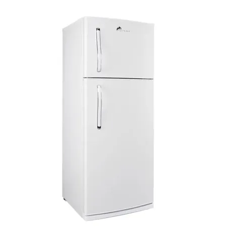 Réfrigérateur Montblanc 450L FBL.45 Blanc DeFrost