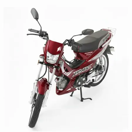 Cyclo Moteur Gold 107 Cm3 Rouge 4 T