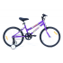 Bicyclette RODEO 20 Pouces | 6020 PF.PG -  Violet