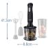 Mixeur Plongeant RUSSELL HOBBS 3 En1 500 W | Garantie 1 an - Noir