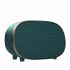 Haut-parleur Rétro Sans Fil BT2630 (BT5.0) Vert