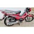 Moto FORZA 107 CC Maxi First | 4 Temps - Embrayage Automatique