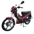 Moto FORZA 124 CC D MAX | 4 Temps - Boîte de 4 vitesses  - Rouge 
