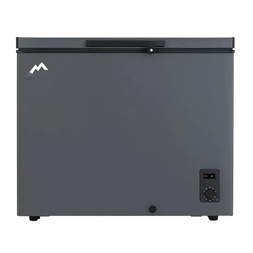 Congélateur Horizontal MONTBLANC 200l ACC250 Silver