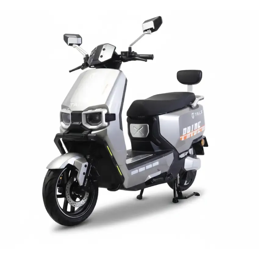 Scooteur Electrique | Pride - Gris