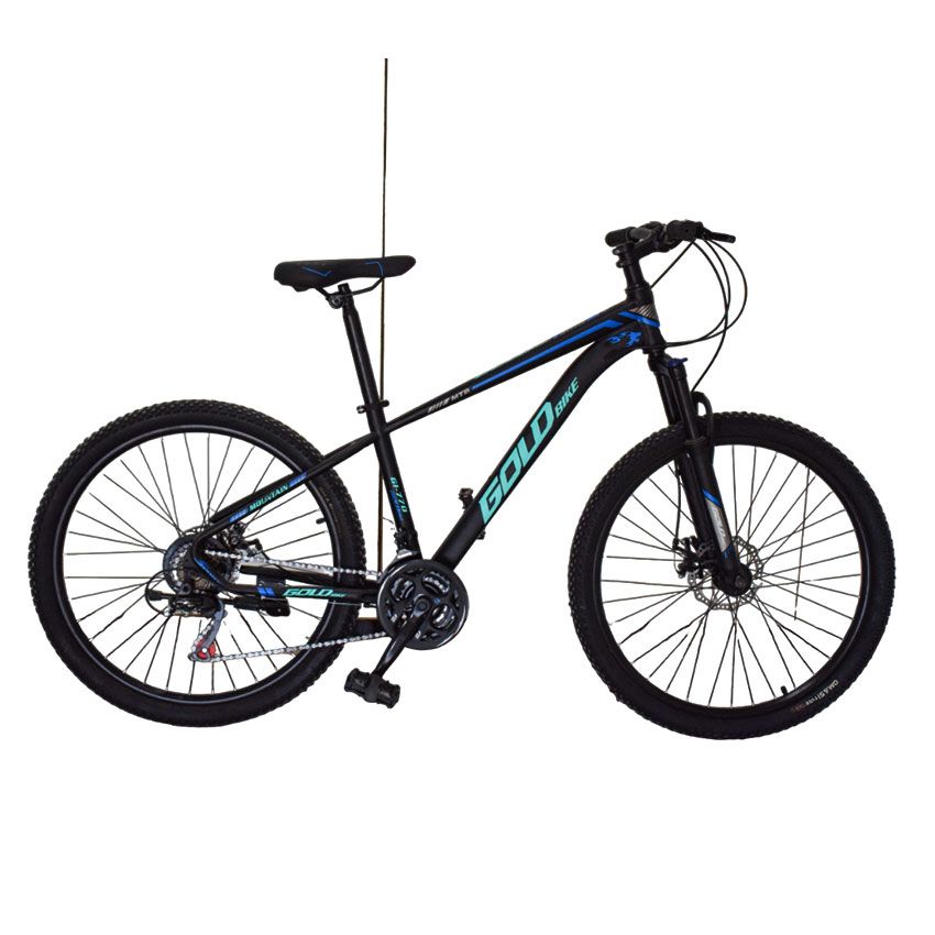GOLD Vélo VTT TY-1070 (26 Pouce) Noir
