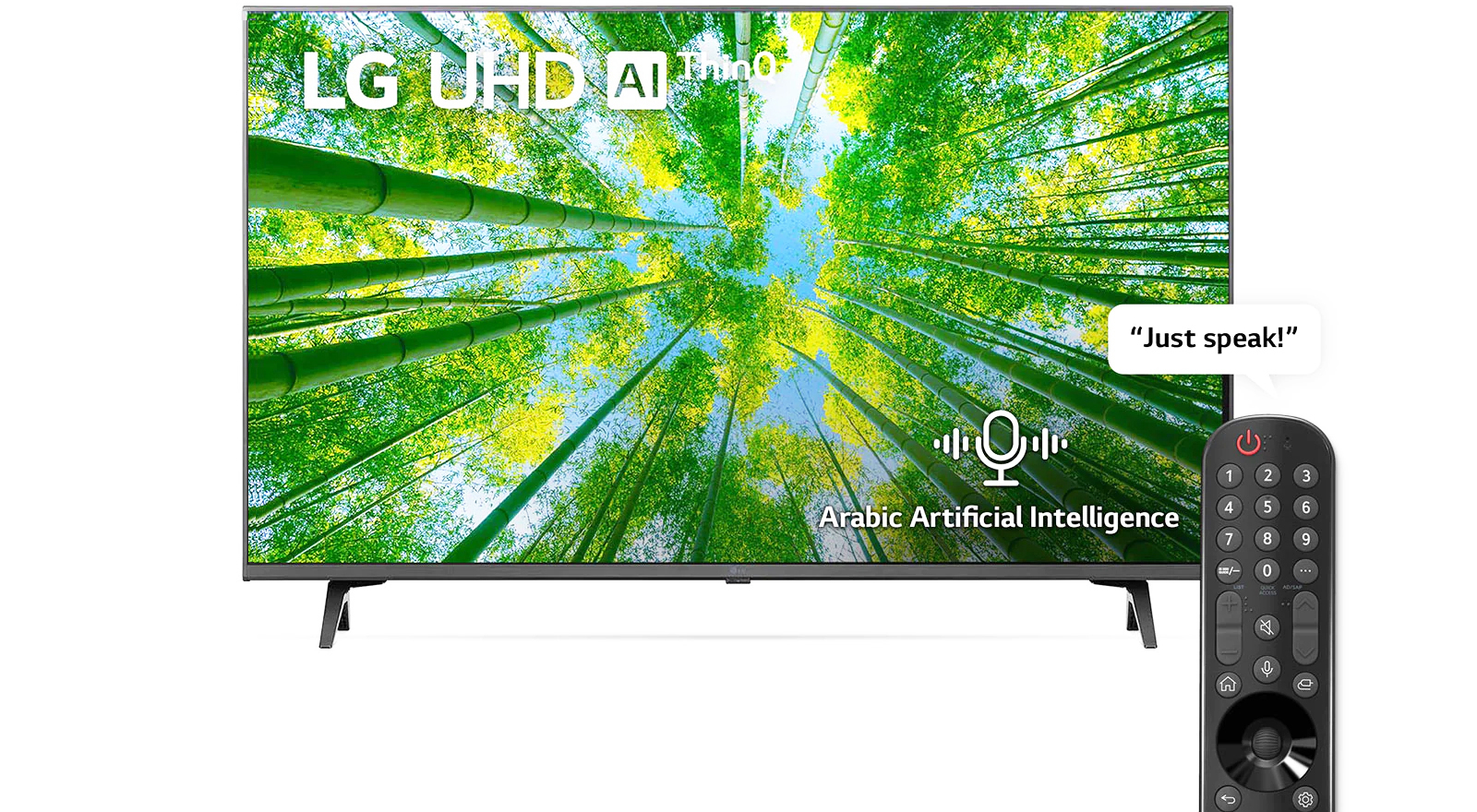 LG Téléviseur LED (75) UHD 4K SMART Noir (75UQ80006LD) 