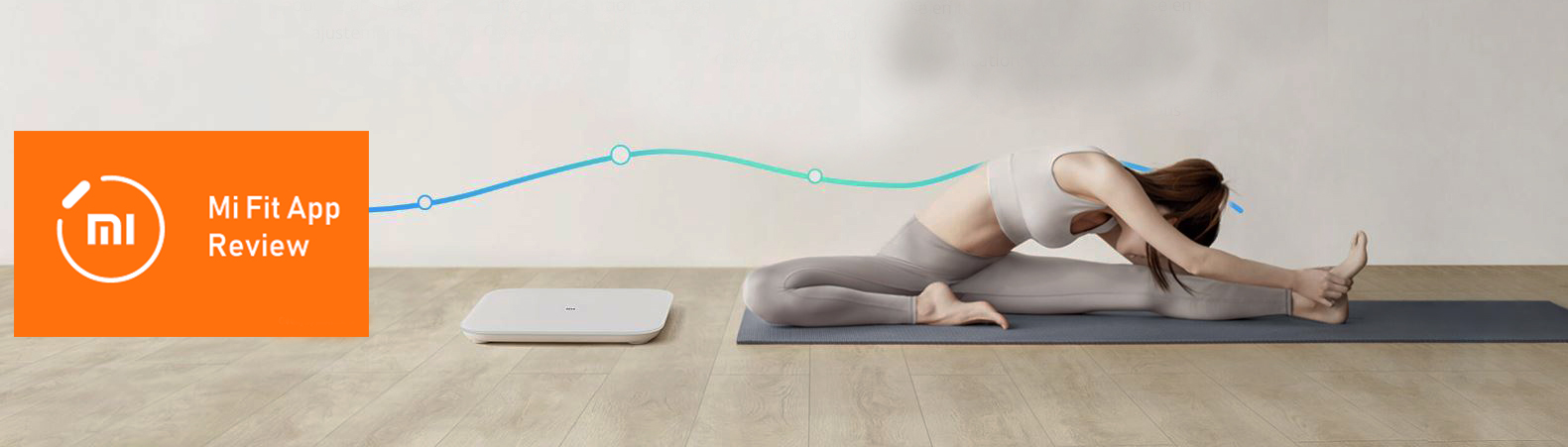XIAOMI Mi Fit
