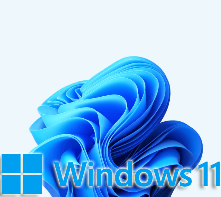 Windows 11