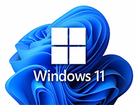 Windows 11