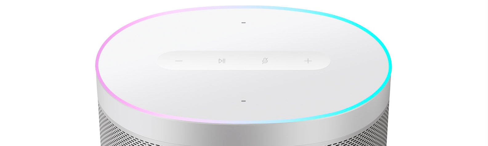 XIAOMI Mi Smart Speaker DTS